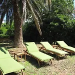 Villa House Nono